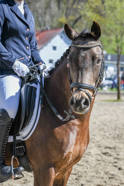 如何借鉴这 如何借鉴这